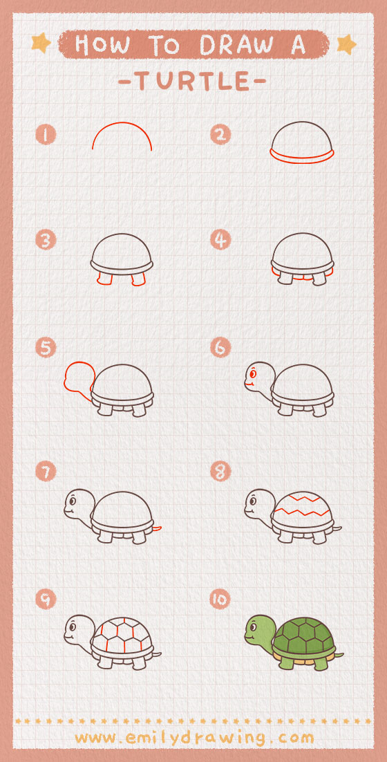 How To Draw A Turtle Step By Step Guide How To Draw Learn To Draw A How To Draw A Turtle Step By Step Guide How To Draw Learn To Draw A