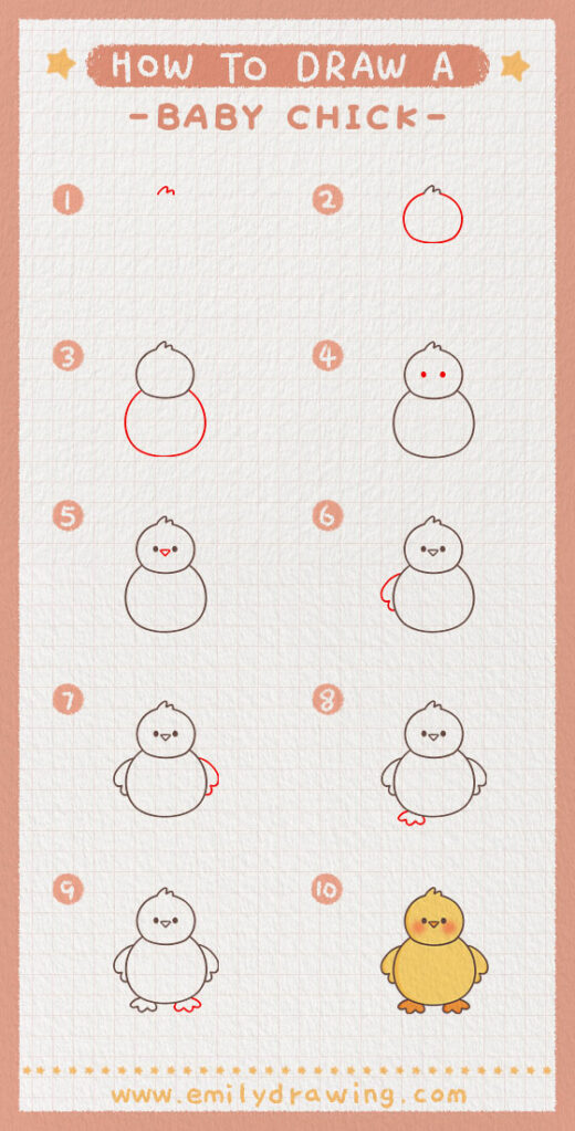 How to Draw a Baby Chick - Emily Drawing