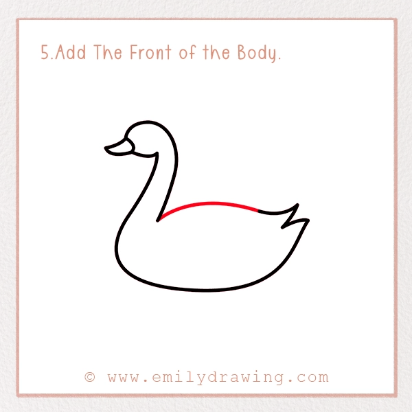 How to Draw a Swan - Step 5 - Add The Front of the Body
