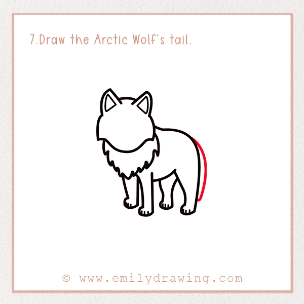 How to Draw an Arctic Wolf - Step 7 – Draw the Arctic Wolf's tail.
