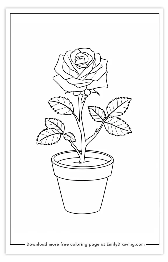 A black and white line art of a rose plant in a pot for coloring.