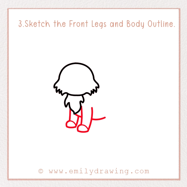 How to Draw a Bobcat - Step 3 - Sketch the Front Legs and Body Outline