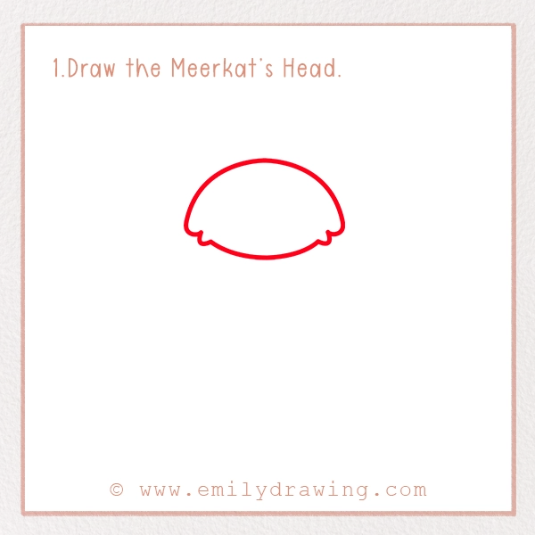 How to Draw a Meerkat - Step 1 - Draw the Meerkat’s Head