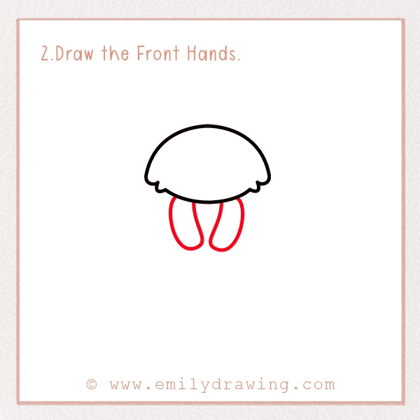 How to Draw a Meerkat - Step 2 - Draw the Front Hands
