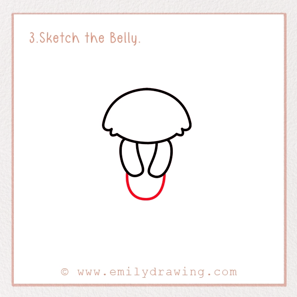 How to Draw a Meerkat - Step 3 - Sketch the Belly