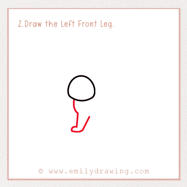 How to Draw a Rabbit - Step 2 - Draw the Left Front Leg