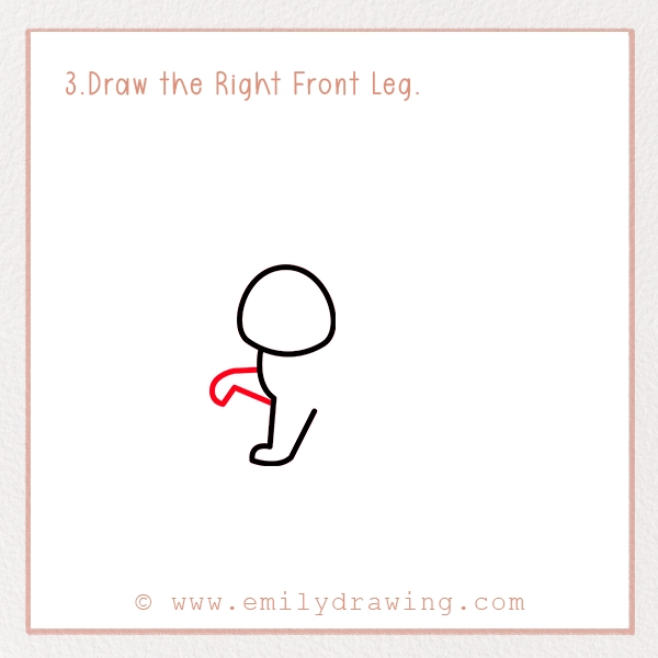 How to Draw a Rabbit - Step 3 - Draw the Right Front Leg