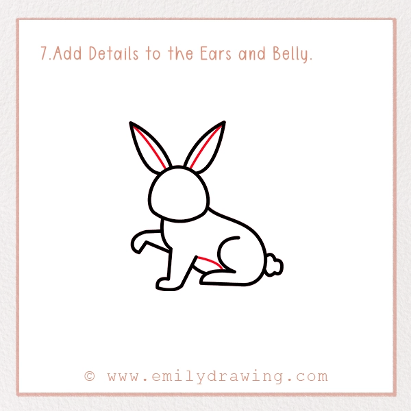 How to Draw a Rabbit - Step 7 - Add Details to the Ears and Belly