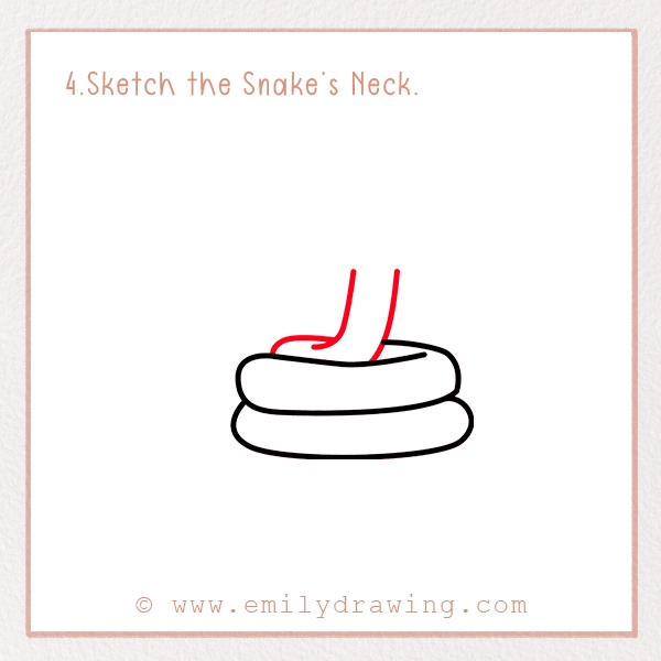 How to Draw a Rattlesnake - Step 4 - Sketch the Snake’s Neck