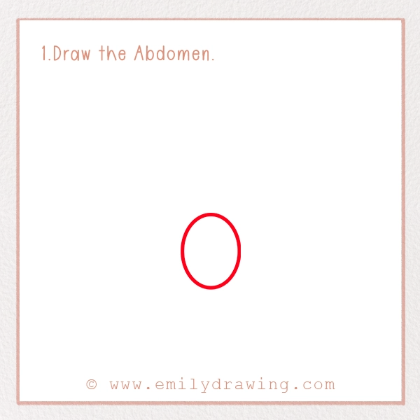 How to Draw a Tarantula - Step 1 - Draw the Abdomen
