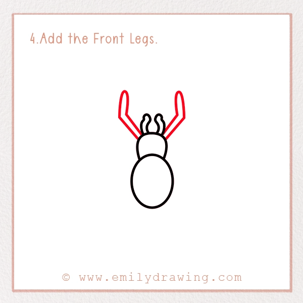 How to Draw a Tarantula - Step 4 - Add the Front Legs