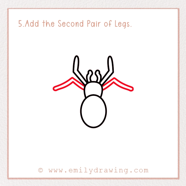 How to Draw a Tarantula - Step 5 - Add the Second Pair of Legs