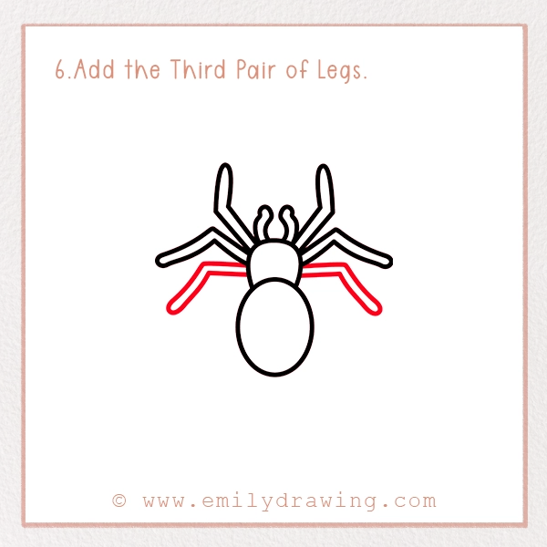 How to Draw a Tarantula - Step 6 - Add the Third Pair of Legs