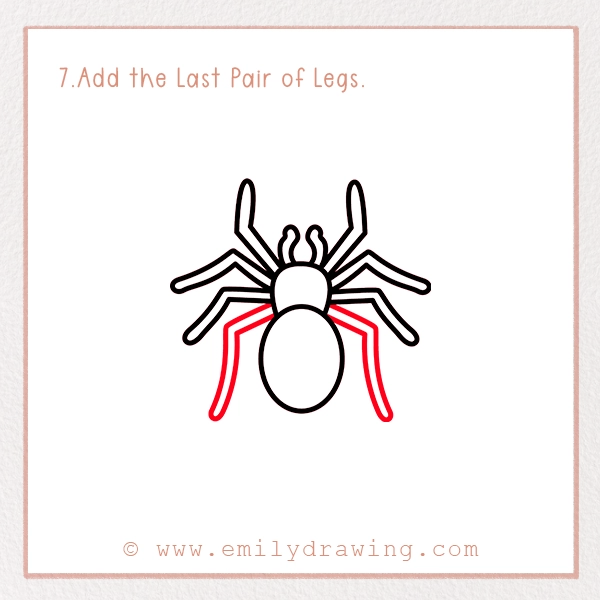 How to Draw a Tarantula - Step 7 - Add the Last Pair of Legs