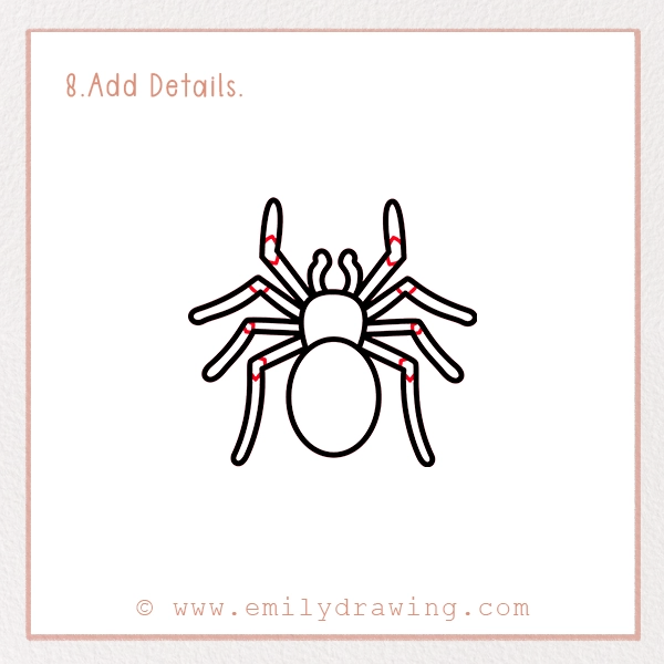 How to Draw a Tarantula - Step 8 - Add Details