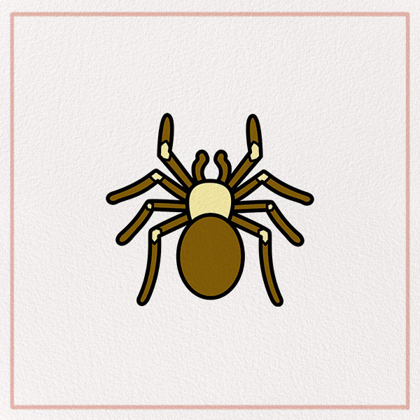How to Draw a Tarantula Feature