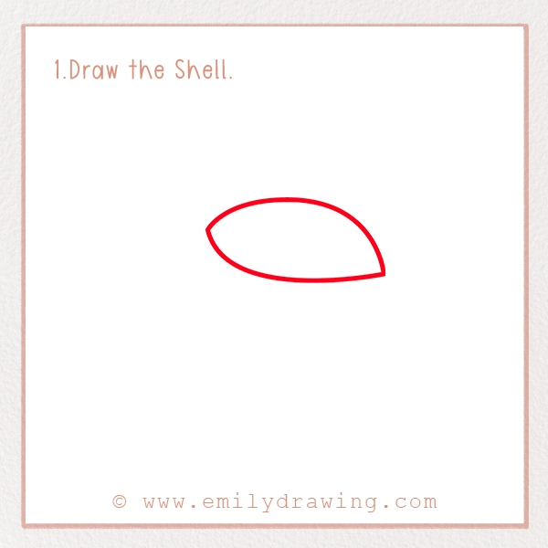 How to Draw a Tortoise - Step 1 - Draw the Shell