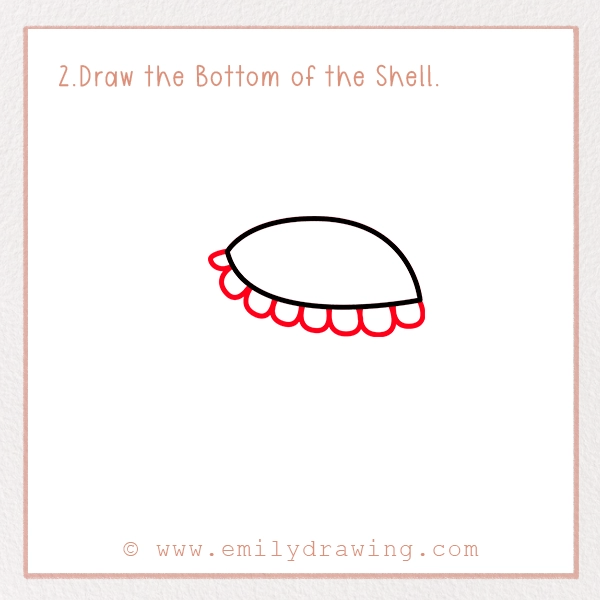 How to Draw a Tortoise - Step 2 - Draw the Bottom of the Shell