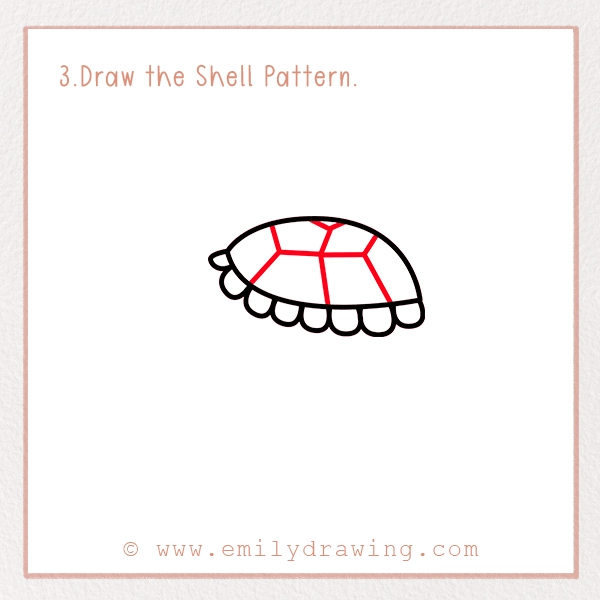 How to Draw a Tortoise - Step 3 - Draw the Shell Pattern