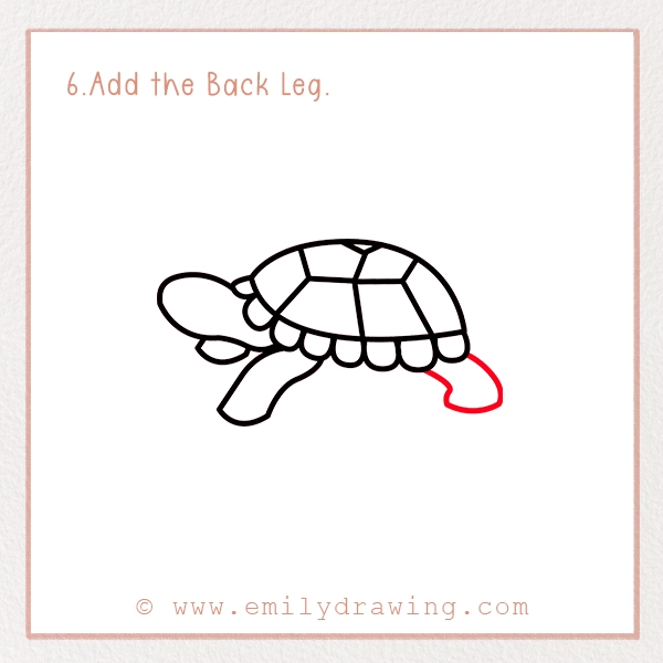 How to Draw a Tortoise - Step 6 - Add the Back Leg