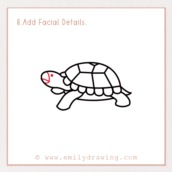How to Draw a Tortoise - Step 8 - Add Facial Details