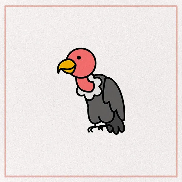 How to Draw a Vulture Feature