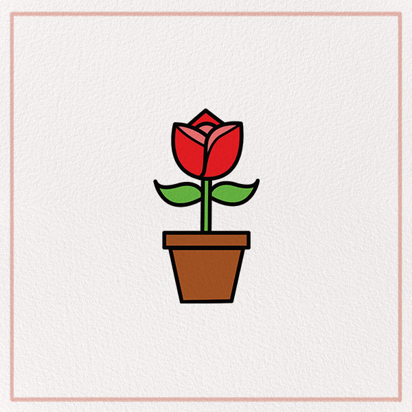 How to Draw a Rose Feature
