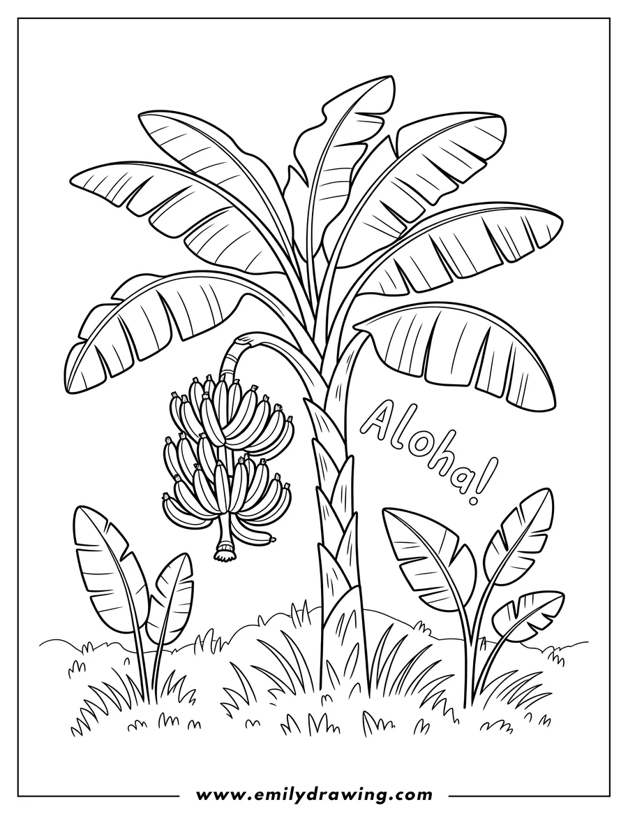 Outline of a banana tree with a bunch of bananas and the word Aloha
