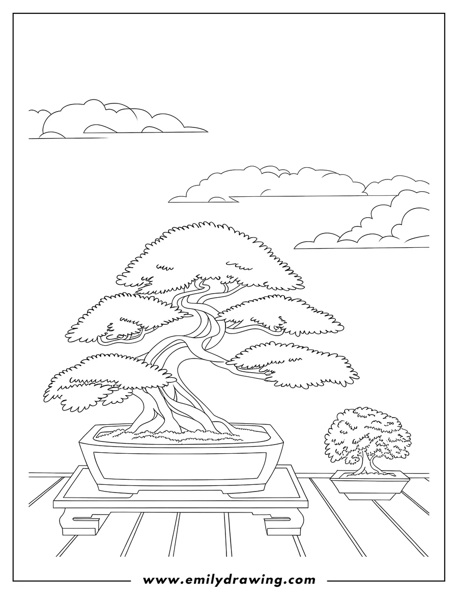 Line art of two bonsai trees in pots. They sit on a wooden surface against a cloudy sky.