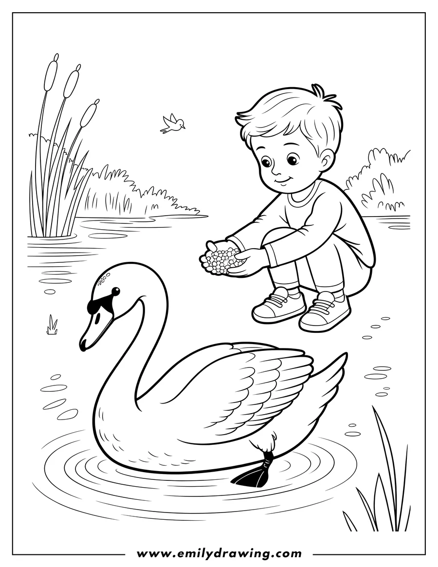Line art of a young boy crouching by a pond and feeding a swan. Cattails and another bird are visible in the background.