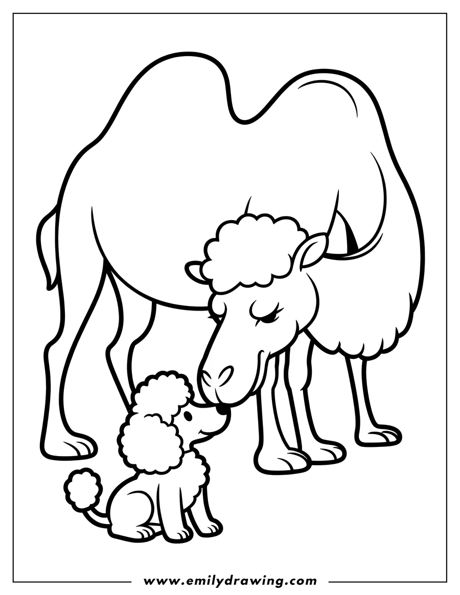 Line art of a camel and a poodle touching noses.
