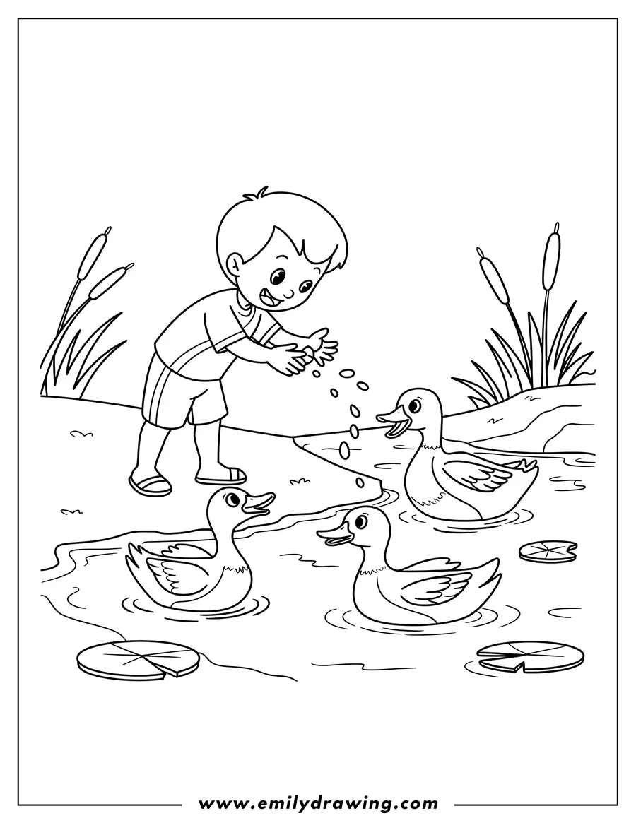 Outline of a young boy feeding three ducks in a pond with lily pads and cattails.