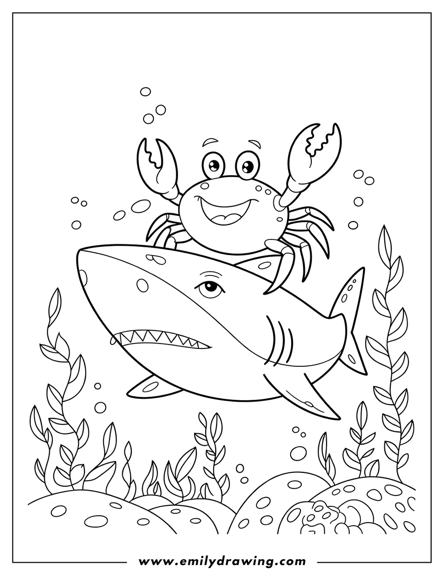 Line art of a crab sitting on a shark underwater, surrounded by seaweed and bubbles.
