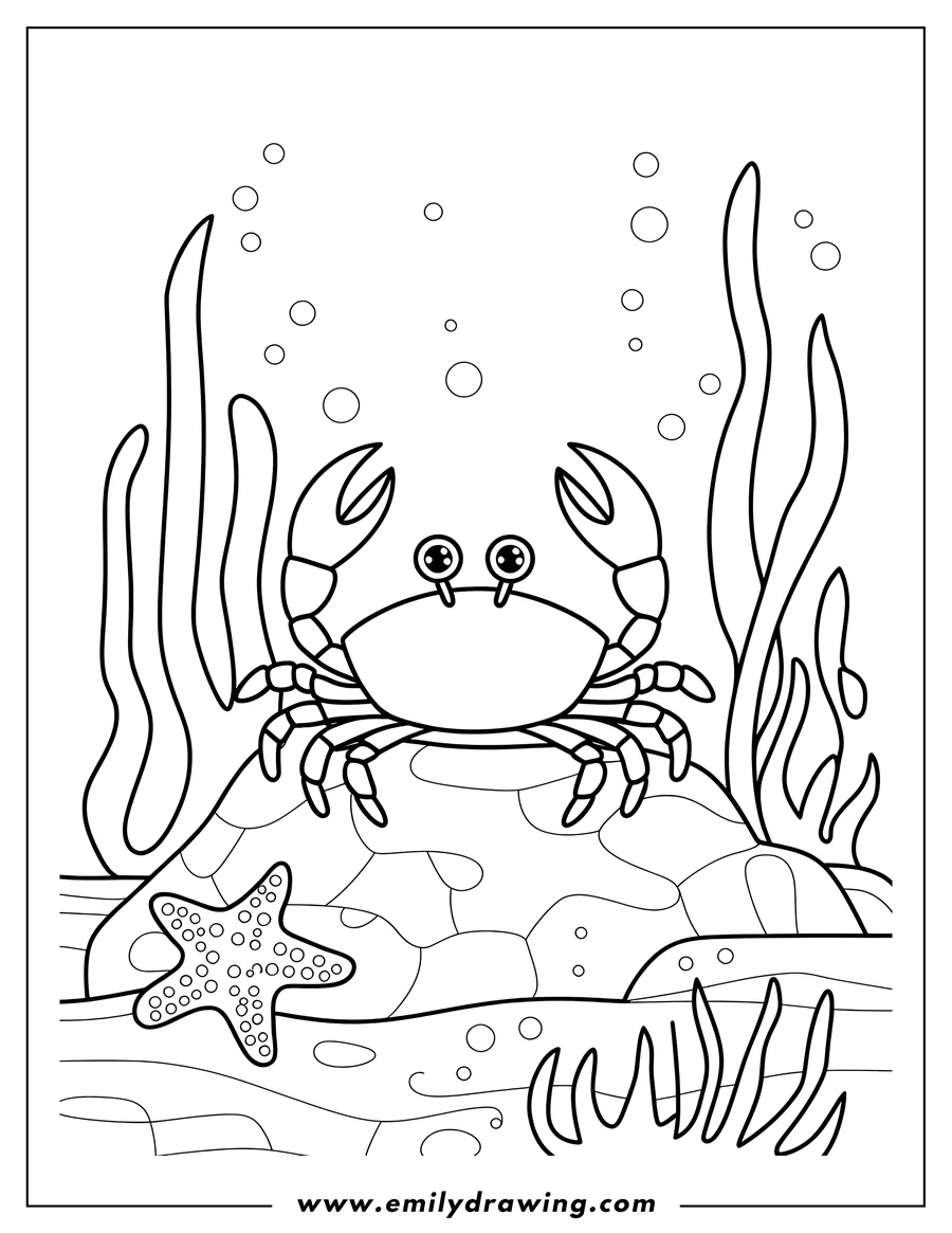 Outline of a crab sitting on a rock on the ocean floor, with a starfish nearby and seaweed in the background.