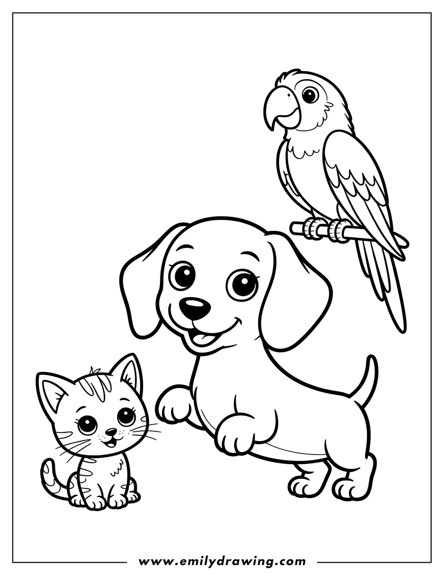 Line art of a dachshund, a cat, and a parrot. The dachshund has its paw raised. The cat is sitting. A parrot perches on a branch.
