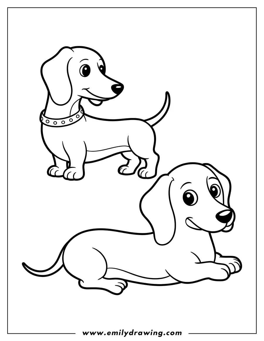 Two Dachshunds in different poses; one is standing and wearing a collar, and the other is lying down.
