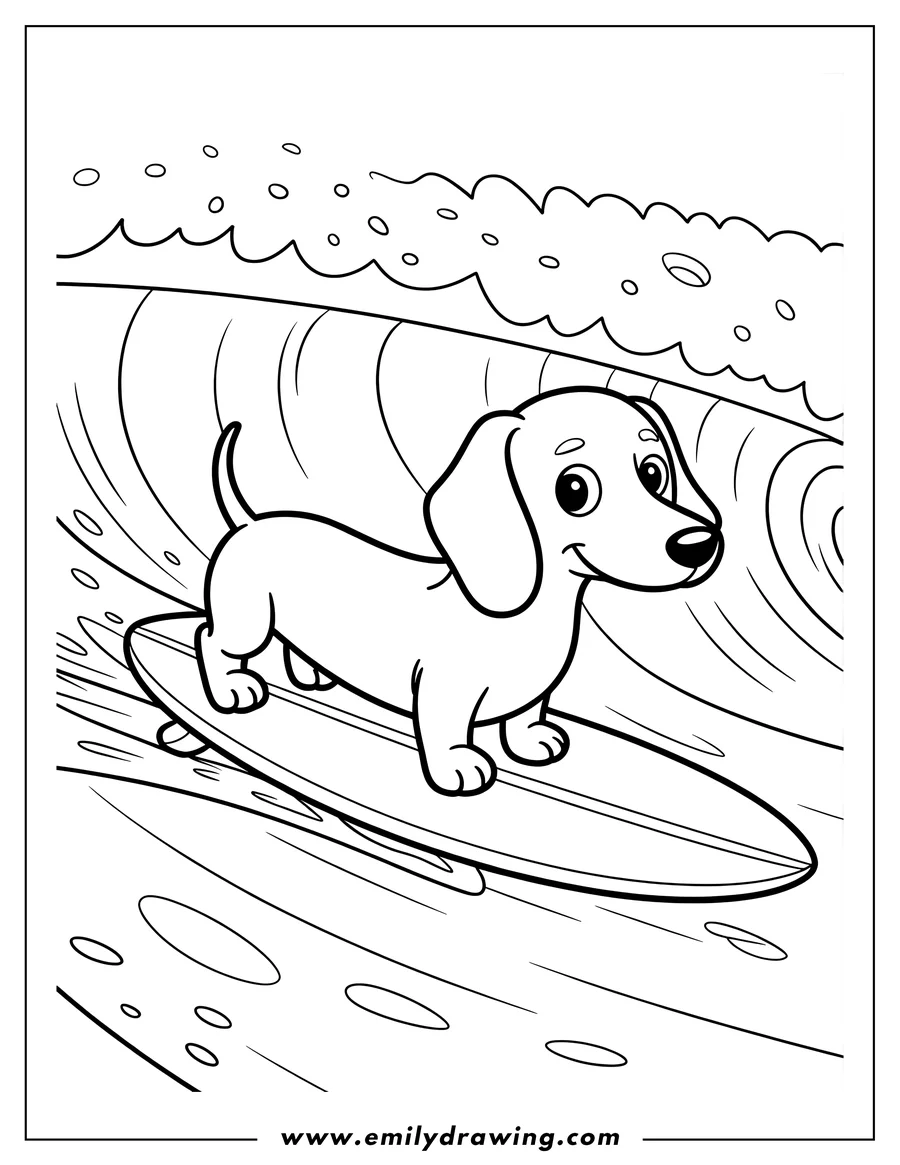 Line art of a dachshund balancing on a surfboard, riding an ocean wave.