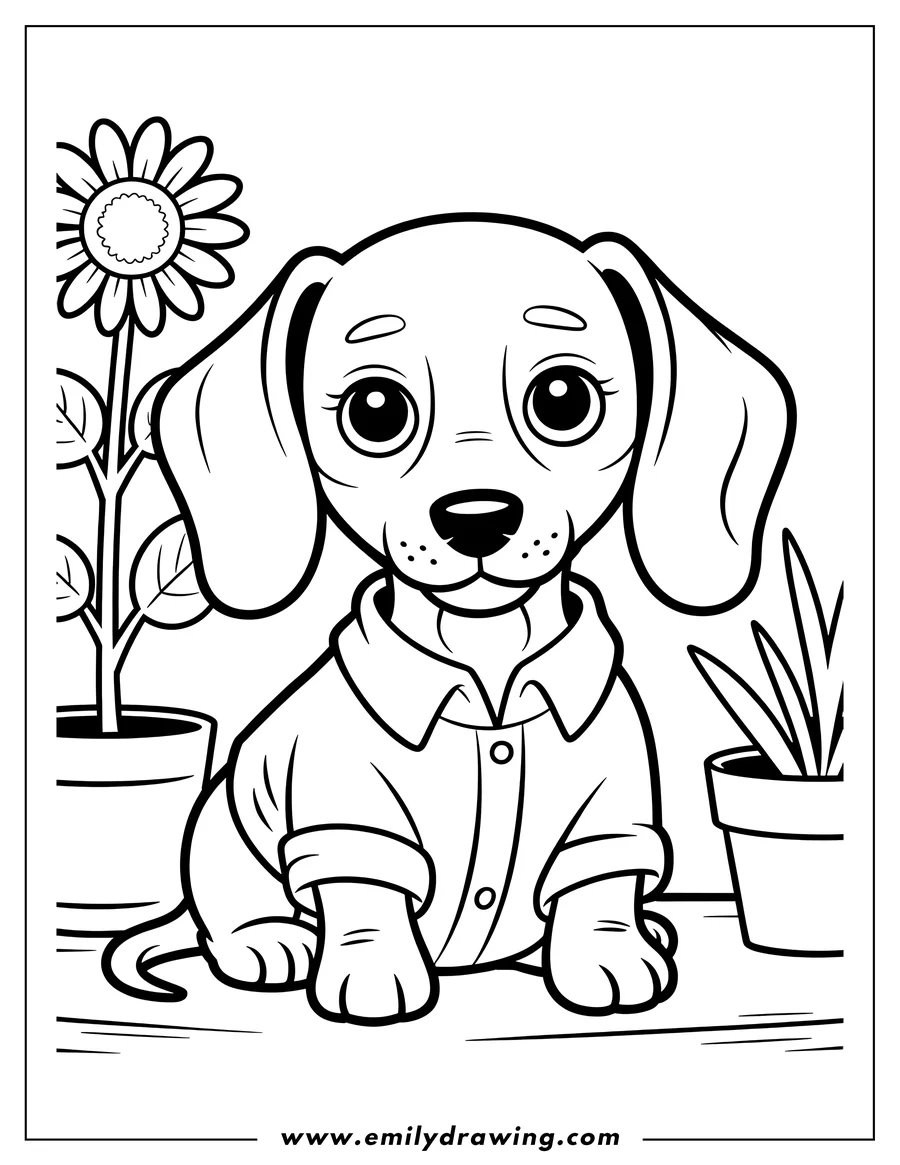 Line art of a dachshund puppy wearing a button-up shirt with rolled-up sleeves, sitting between two potted plants.