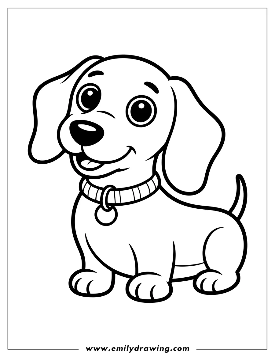 Outline of a dachshund wearing a collar with a tag.