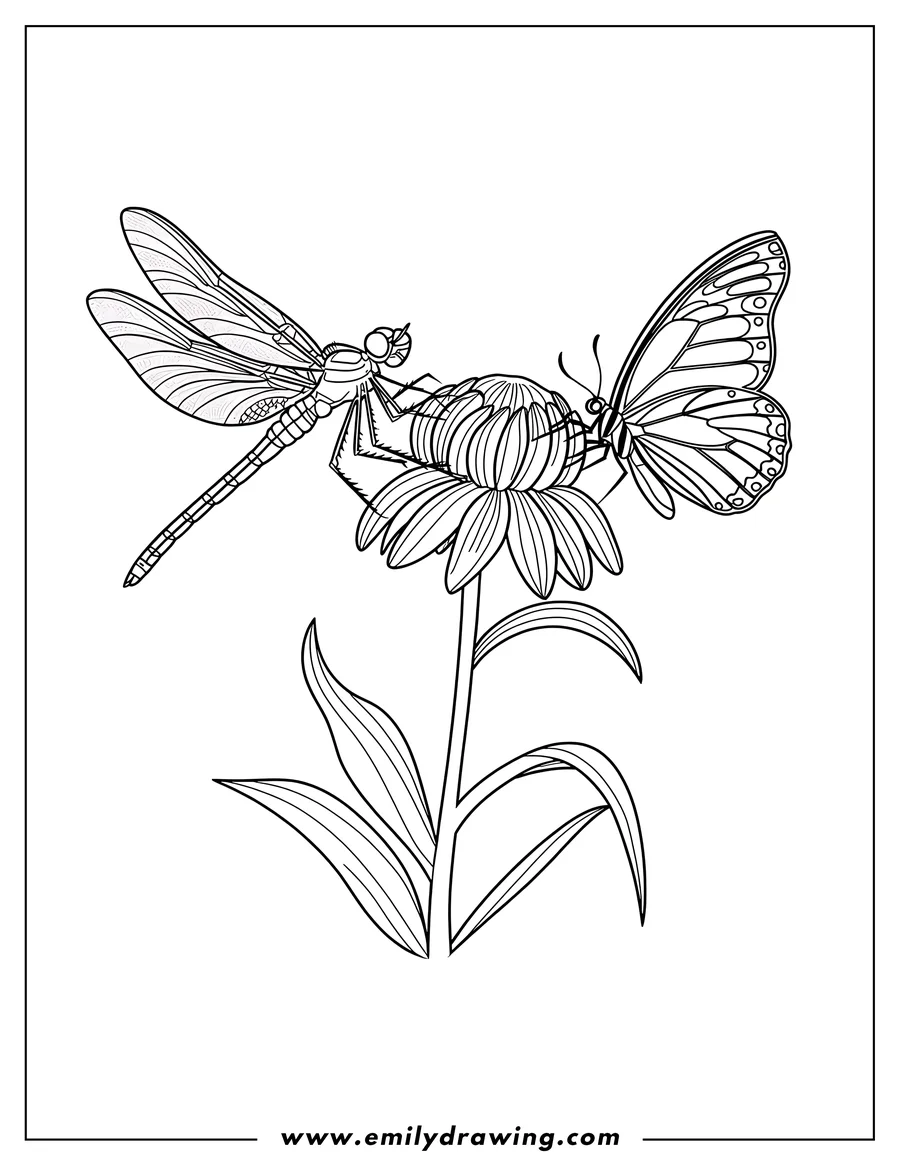 Line art of a dragonfly and a butterfly perched on a flower. The dragonfly's wings are outstretched, while the butterfly's wings are closed. Details on the insects' bodies and flower petals are visible.