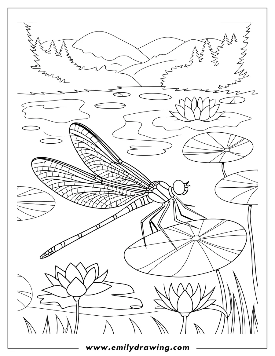 Line art of a dragonfly resting on a lily pad in a pond. Water lilies and a forested shoreline are visible in the background.