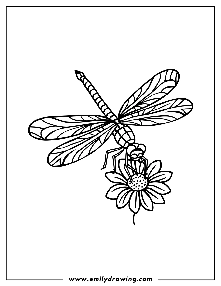 Outline of a dragonfly with patterned wings perched on a daisy-like flower.