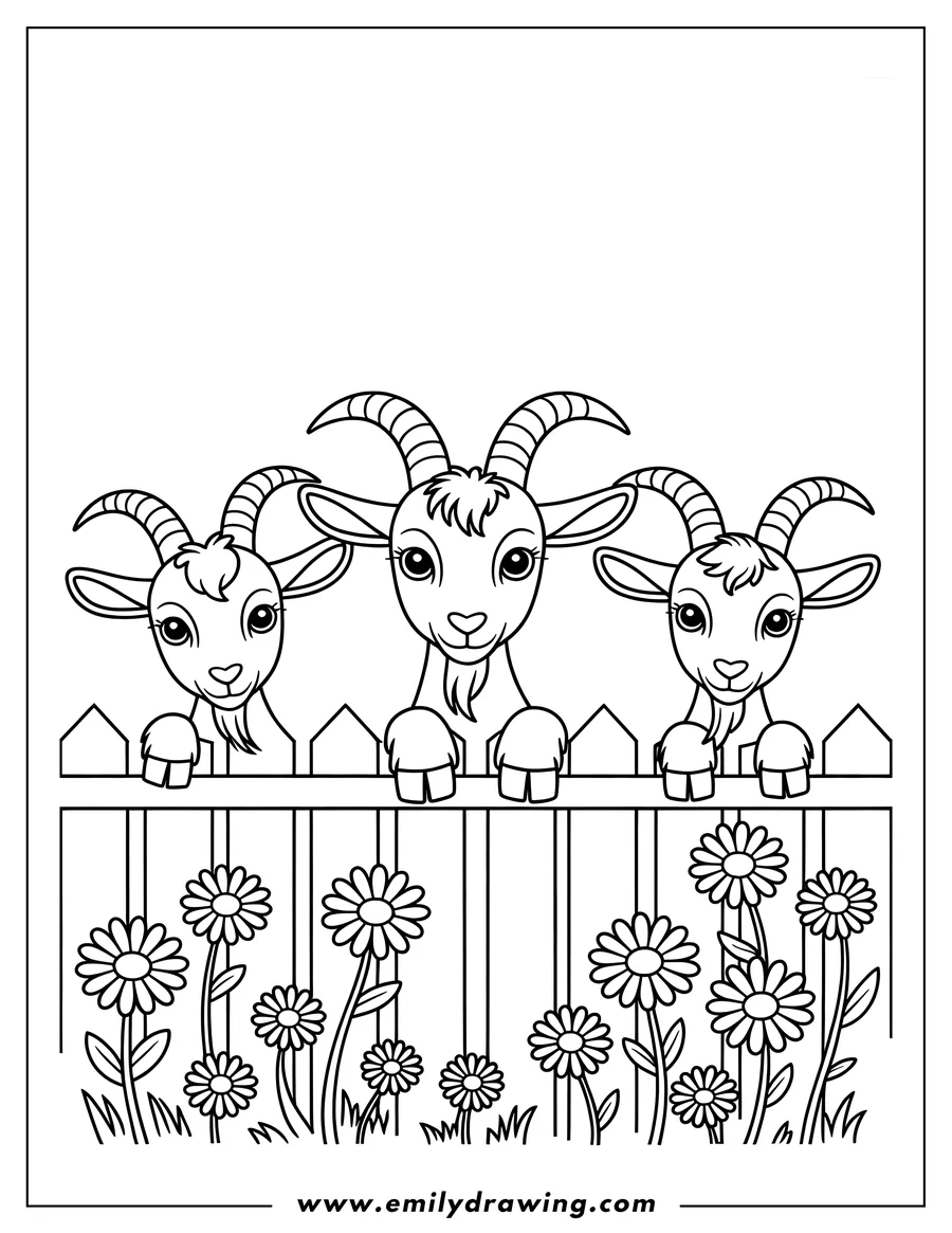 Three goats peer over a wooden fence with daisies growing below.