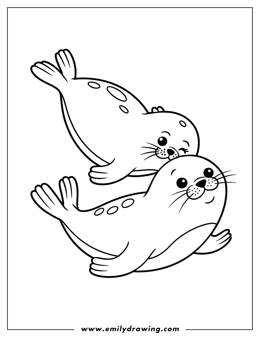 Outline of two harp seal pups swimming playfully. One pup is upside down.