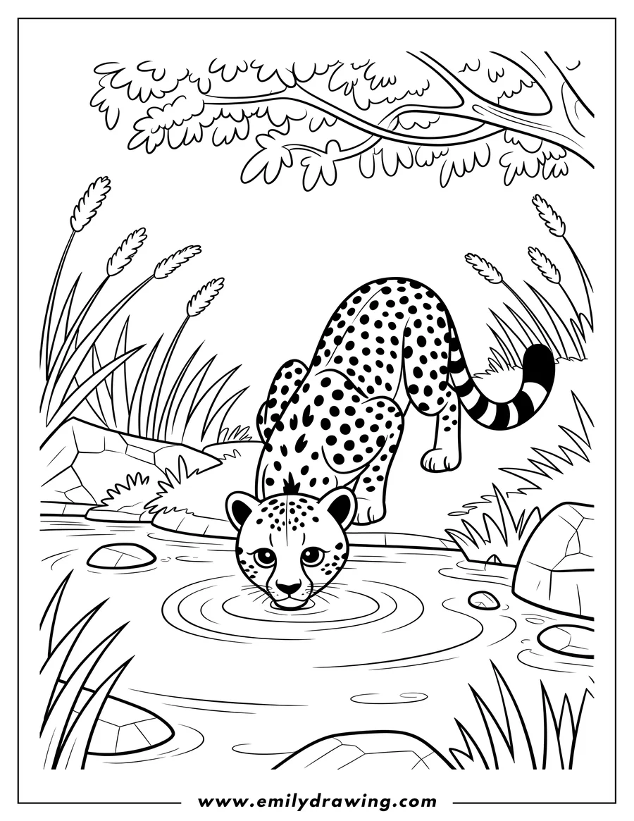 Line art of a jaguar drinking water from a pond. Reeds and rocks surround the pond, and a tree branch hangs overhead.