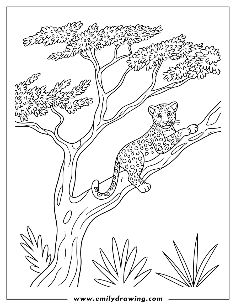 Outline of a jaguar resting in a tree.