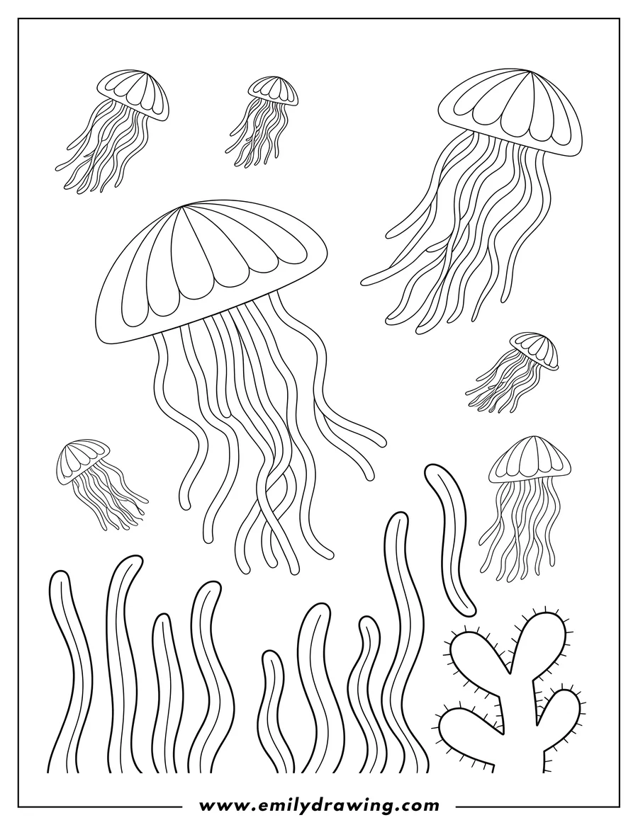 Line art illustration of several jellyfish with long, flowing tentacles, floating above seaweed and a spiky sea plant.