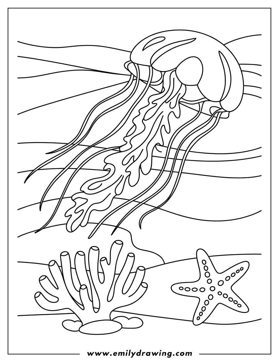 Outline of a jellyfish with long, flowing tentacles floating above coral and a starfish on the seabed.