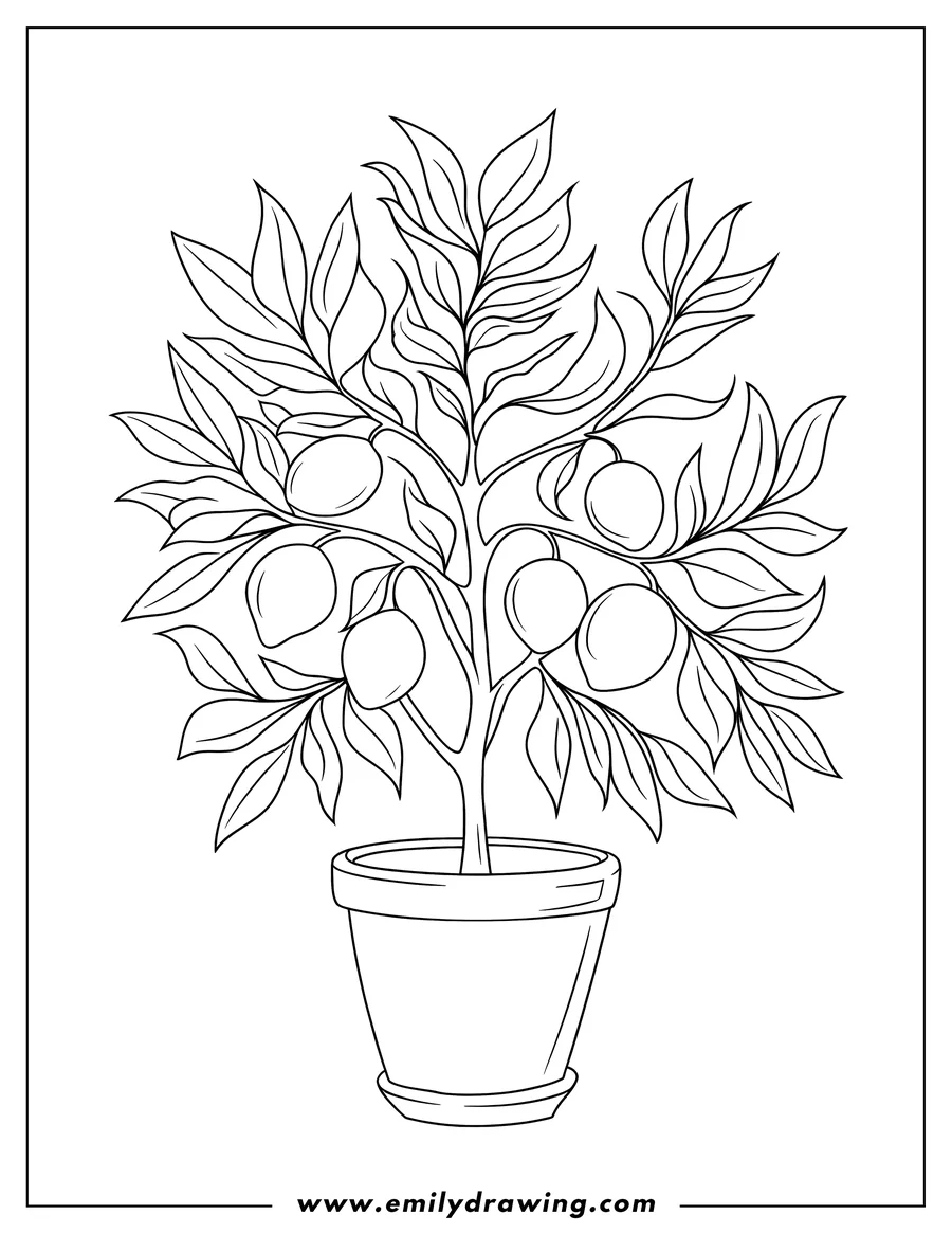 Outline of a small lemon tree with fruit, growing in a terracotta pot.
