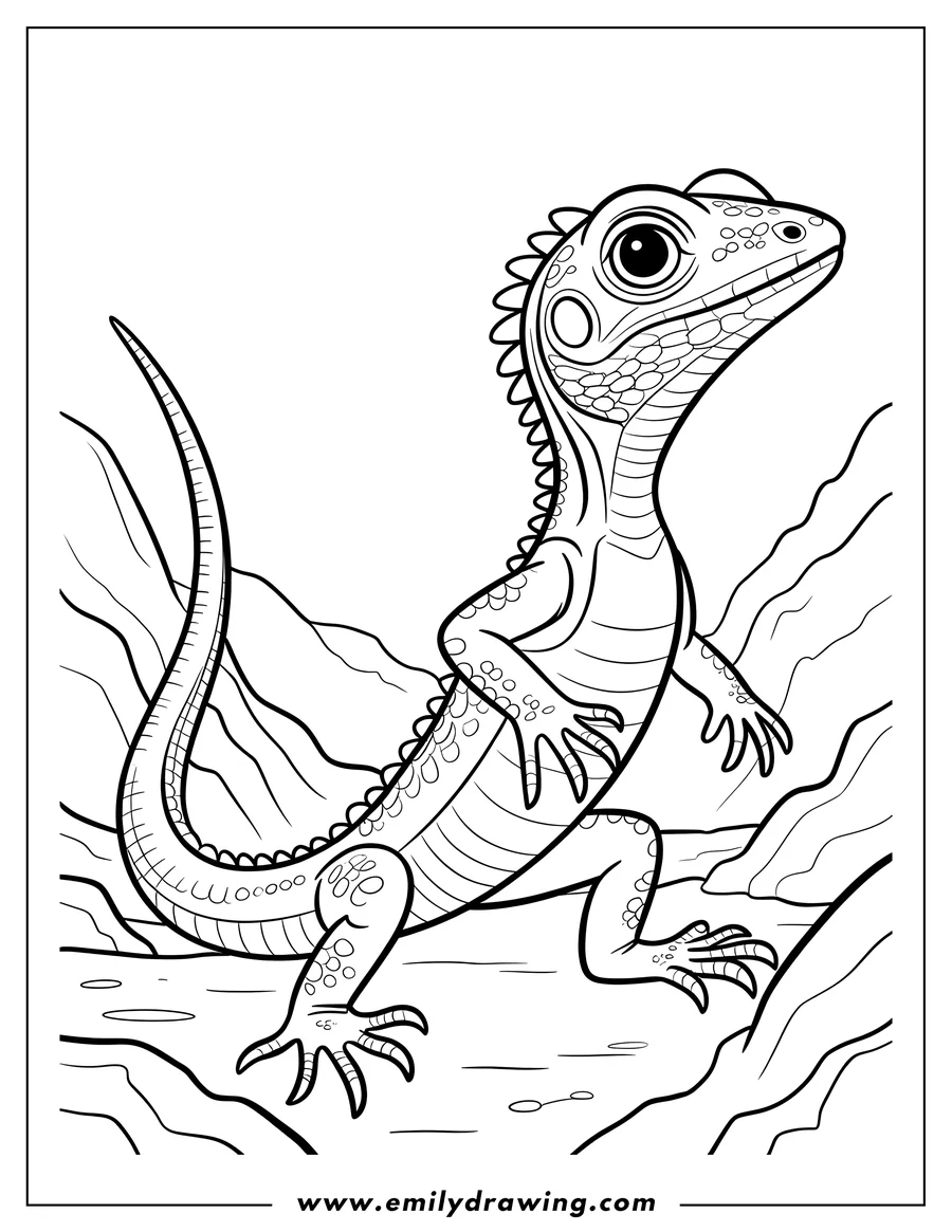 Outline of a lizard standing on a rock, looking upwards.